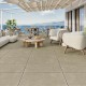 GROUND TORTORA 61X61