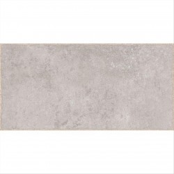 PARGA GREY 15,5X60,5 9296