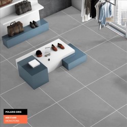 POLARIS GRIS MAT RETT. 60X60