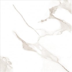 STATUARIO ELEGANT PUL. 60X60