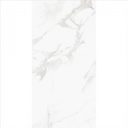 STATUARIO ELEGANT PUL. 60X120