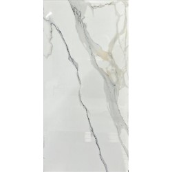 SWAN SATVARIO POLIS 60X120